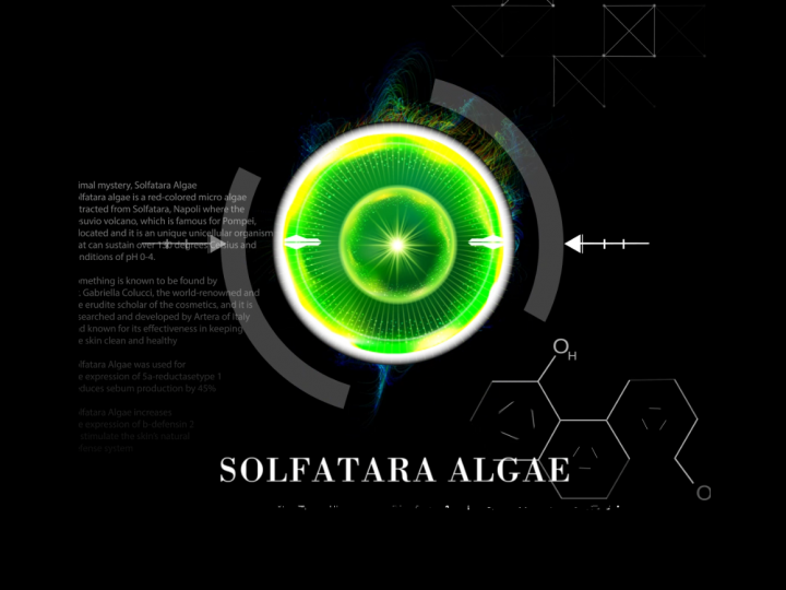 Fantastic Performance -SOLFATARA ALGAE-