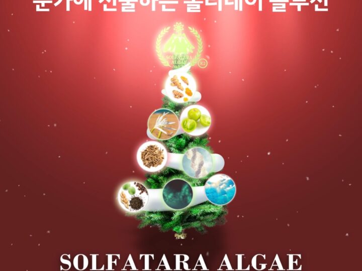 눈가에 선사하는 홀리데이 솔루션 [솔파타라 알게 프롬 나폴리 아이 크림🌱]